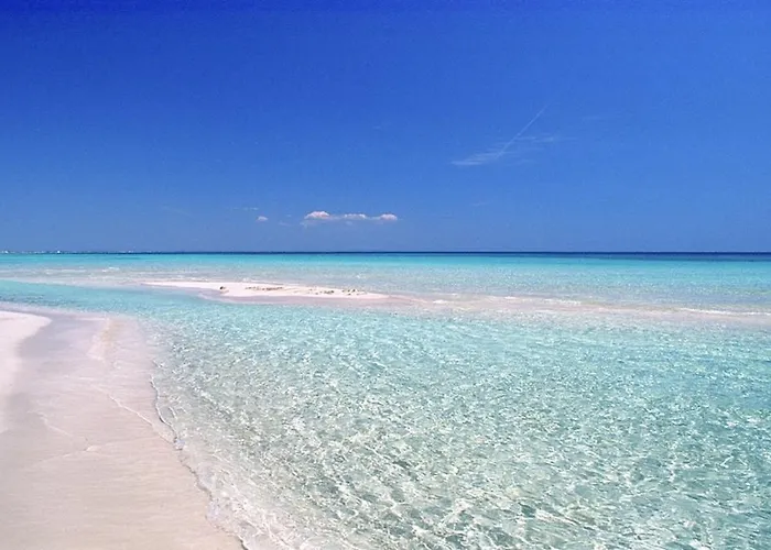 Casa Andrea 度假居 切萨雷奥港